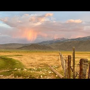 Meet your Posher, Kathleen